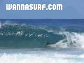 photo de surf
