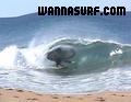 photo de surf