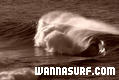 photo de surf