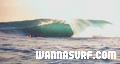 photo de surf