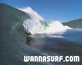photo de surf