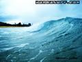 photo de surf