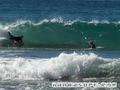 photo de surf