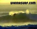 photo de surf