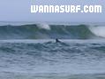 photo de surf