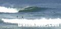 photo de surf