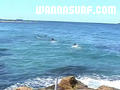 photo de surf