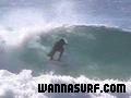 photo de surf