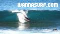 photo de surf