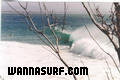 photo de surf