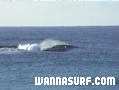 photo de surf