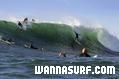 photo de surf