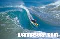 photo de surf