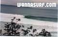 photo de surf