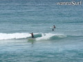 photo de surf