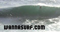 photo de surf