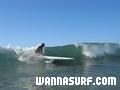 photo de surf