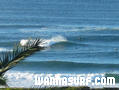 photo de surf