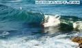 photo de surf