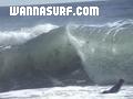 photo de surf