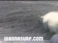 photo de surf