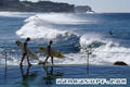 photo de surf
