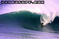 photo de surf