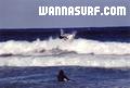 photo de surf