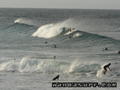 photo de surf