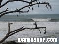 photo de surf