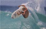 photo de surf