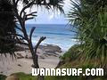 photo de surf