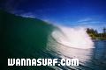 photo de surf