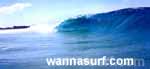 photo de surf