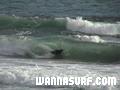 photo de surf
