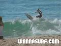 photo de surf