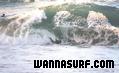 photo de surf