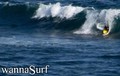 photo de surf
