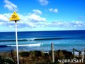 photo de surf