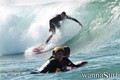 photo de surf