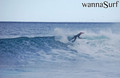 photo de surf