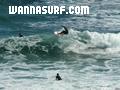 photo de surf