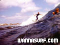 photo de surf
