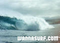 photo de surf