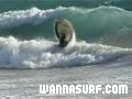 photo de surf