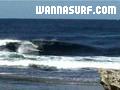 photo de surf