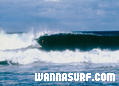 photo de surf
