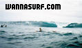 photo de surf
