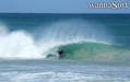 photo de surf