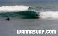 photo de surf